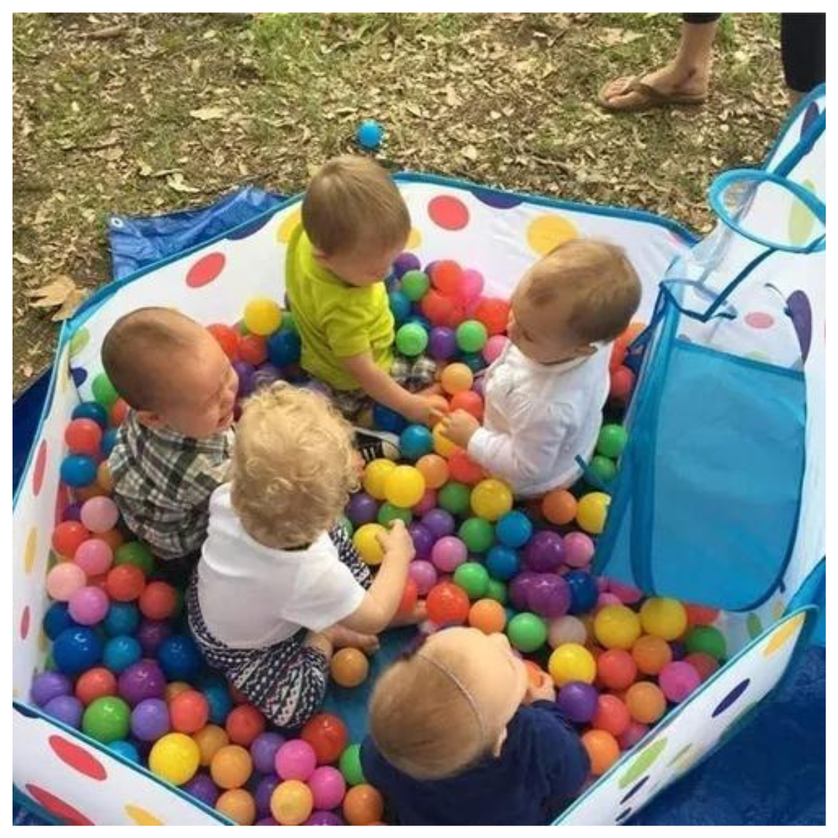Carpa Piscina de Túnel Plegable.
